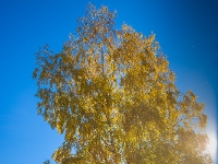 Herbst IMG_2580_LR_6D-MKII