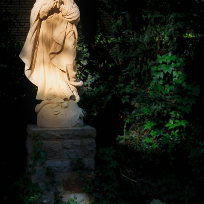 Muenster-IMG_0323_LR_40D.jpg