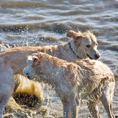 IMG_0833_LR.jpg