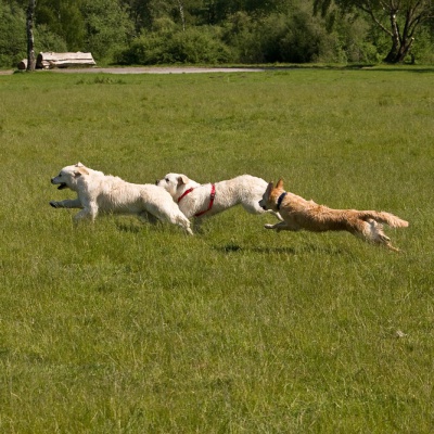 IMG_0995_LR.jpg