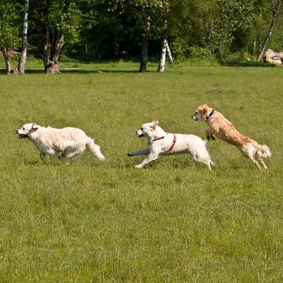 IMG_0997_LR.jpg