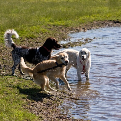 IMG_0999_LR.jpg