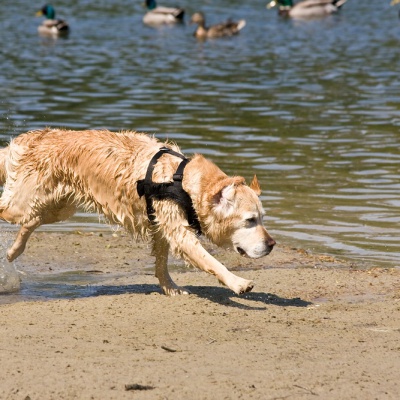 IMG_1059_LR.jpg