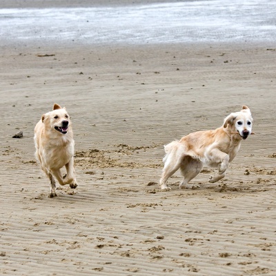 IMG_9647_LR.jpg