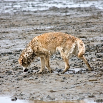 IMG_9692_LR.jpg