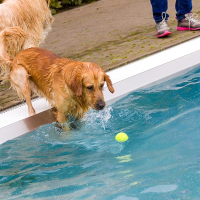 Hund-im-Freibad-IMG_7325_LR_70D.jpg