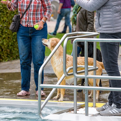 Hund-im-Freibad-IMG_2489_LR_6D-MKII.jpg
