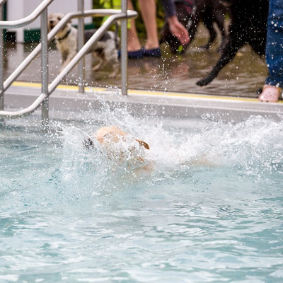 Hund-im-Freibad-IMG_2493_LR_6D-MKII.jpg