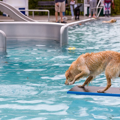 Hund-im-Freibad-IMG_2498_LR_6D-MKII.jpg