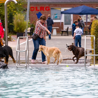 Hund-im-Freibad-IMG_2509_LR_6D-MKII.jpg
