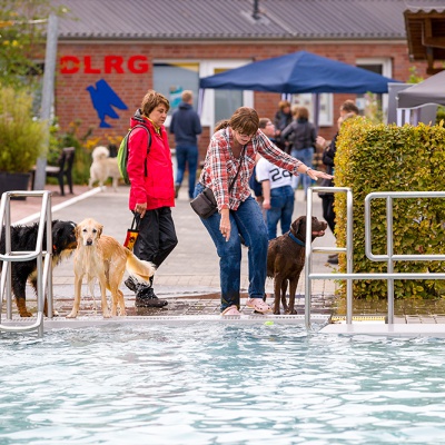 Hund-im-Freibad-IMG_2510_LR_6D-MKII.jpg