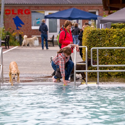 Hund-im-Freibad-IMG_2511_LR_6D-MKII.jpg
