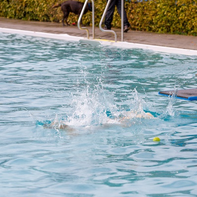 Hund-im-Freibad-IMG_2521_LR_6D-MKII.jpg