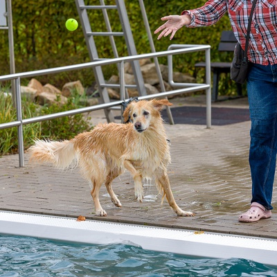 Hund-im-Freibad-IMG_2529_LR_6D-MKII.jpg