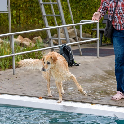 Hund-im-Freibad-IMG_2530_LR_6D-MKII.jpg