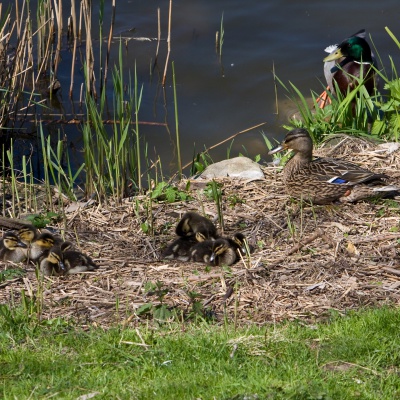 IMG_0489_LR.jpg