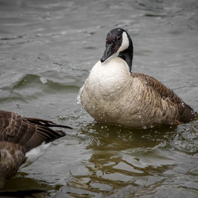 Natur-IMG_4644_LR_70D.jpg