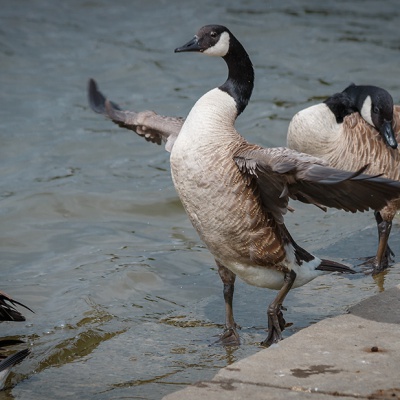 Natur-IMG_4650_LR_70D.jpg