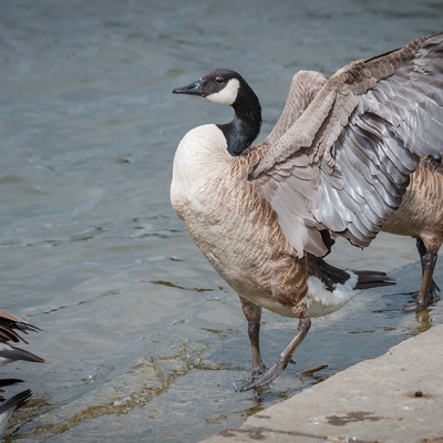 Natur-IMG_4651_LR_70D.jpg