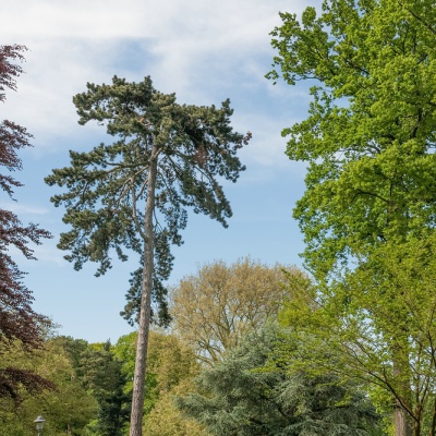 Botanischer-Garten-Muenster-IMG_9400_DxO_LR_40D.jpg