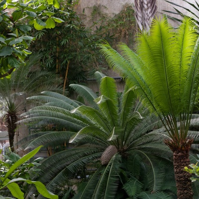 Botanischer-Garten-Muenster-IMG_9410_DxO_LR_40D.jpg