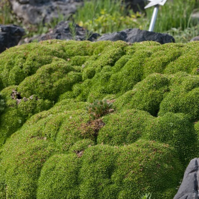 Botanischer-Garten-Muenster-IMG_9412_DxO_LR_40D.jpg