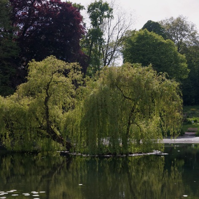 Botanischer-Garten-Muenster-IMG_9414_DxO_LR_40D.jpg