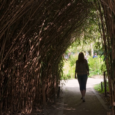 Botanischer-Garten-Muenster-IMG_9415_DxO_LR_40D.jpg