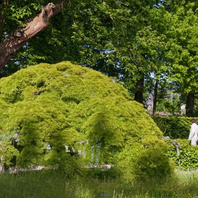 Botanischer-Garten-Muenster-IMG_9431_DxO_LR_40D.jpg