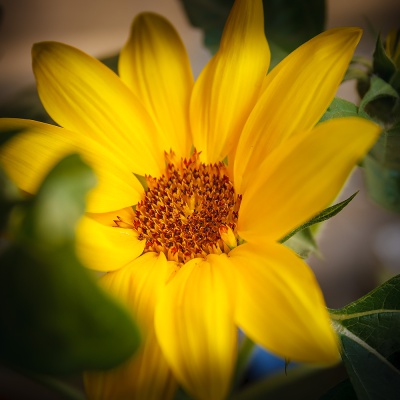 Muenster-Spring-IMG_2700_LR_40D.jpg
