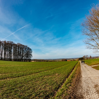 Spring-IMG_3913_LR_70D.jpg