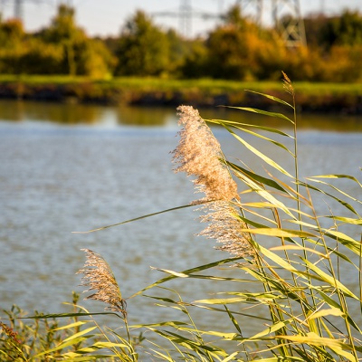 Herbst-IMG_2604_LR_6D-MKII.jpg