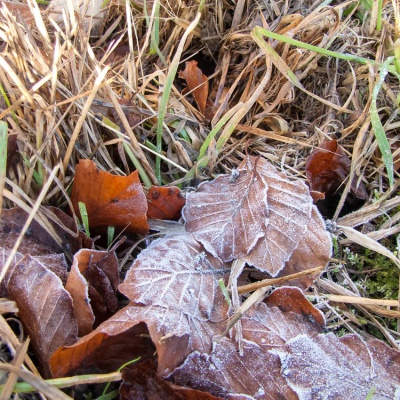 Winter-IMG_0522_LR_SX1.jpg