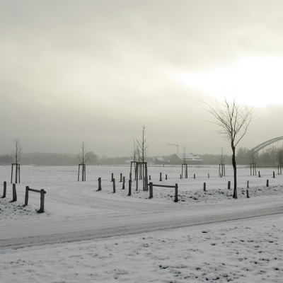 Winter-IMG_1234_LR_IXUS_230_HS.jpg