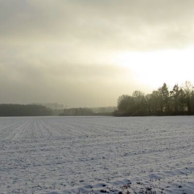 Winter-IMG_1240_LR_IXUS_230_HS.jpg