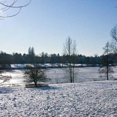 Winter-IMG_4283_LR.jpg