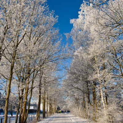 Winter-IMG_4336_LR.jpg