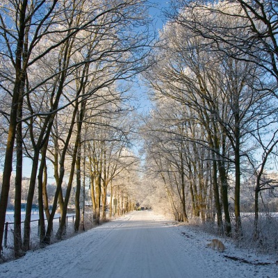 Winter-IMG_4338_LR.jpg