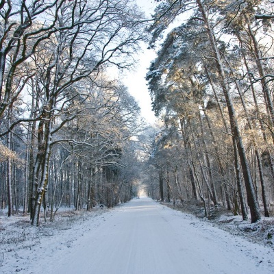 Winter-IMG_4339_LR.jpg
