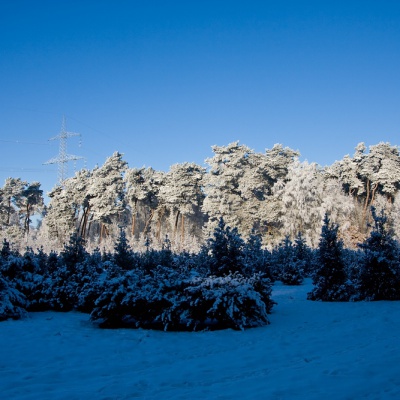 Winter-IMG_4345_LR.jpg