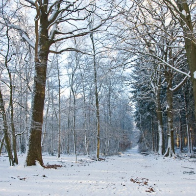 Winter-IMG_4346_LR.jpg