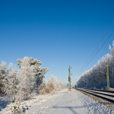 Winter-IMG_4351_LR.jpg