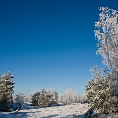 Winter-IMG_4355_LR.jpg