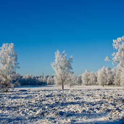 Winter-IMG_4357_LR.jpg