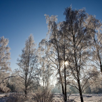 Winter-IMG_4364_LR.jpg