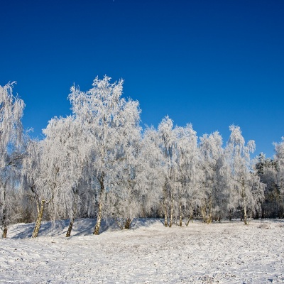 Winter-IMG_4365_LR.jpg