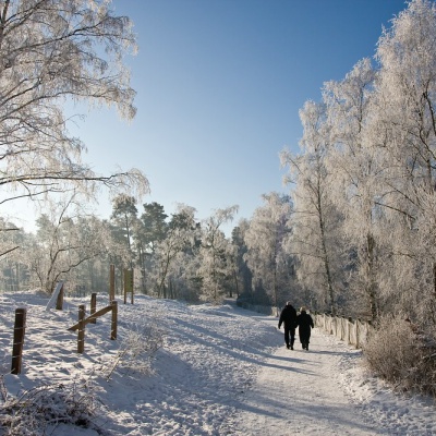 Winter-IMG_4367_LR.jpg