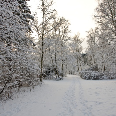 Winter-IMG_8777_LR.jpg