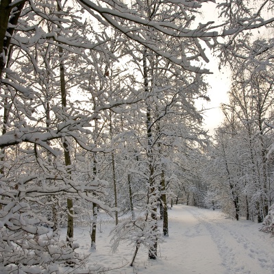 Winter-IMG_8778_LR.jpg
