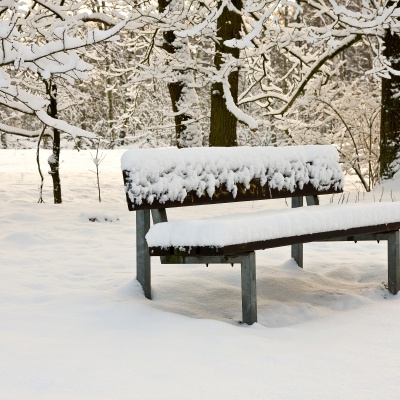 Winter-IMG_8779_LR.jpg